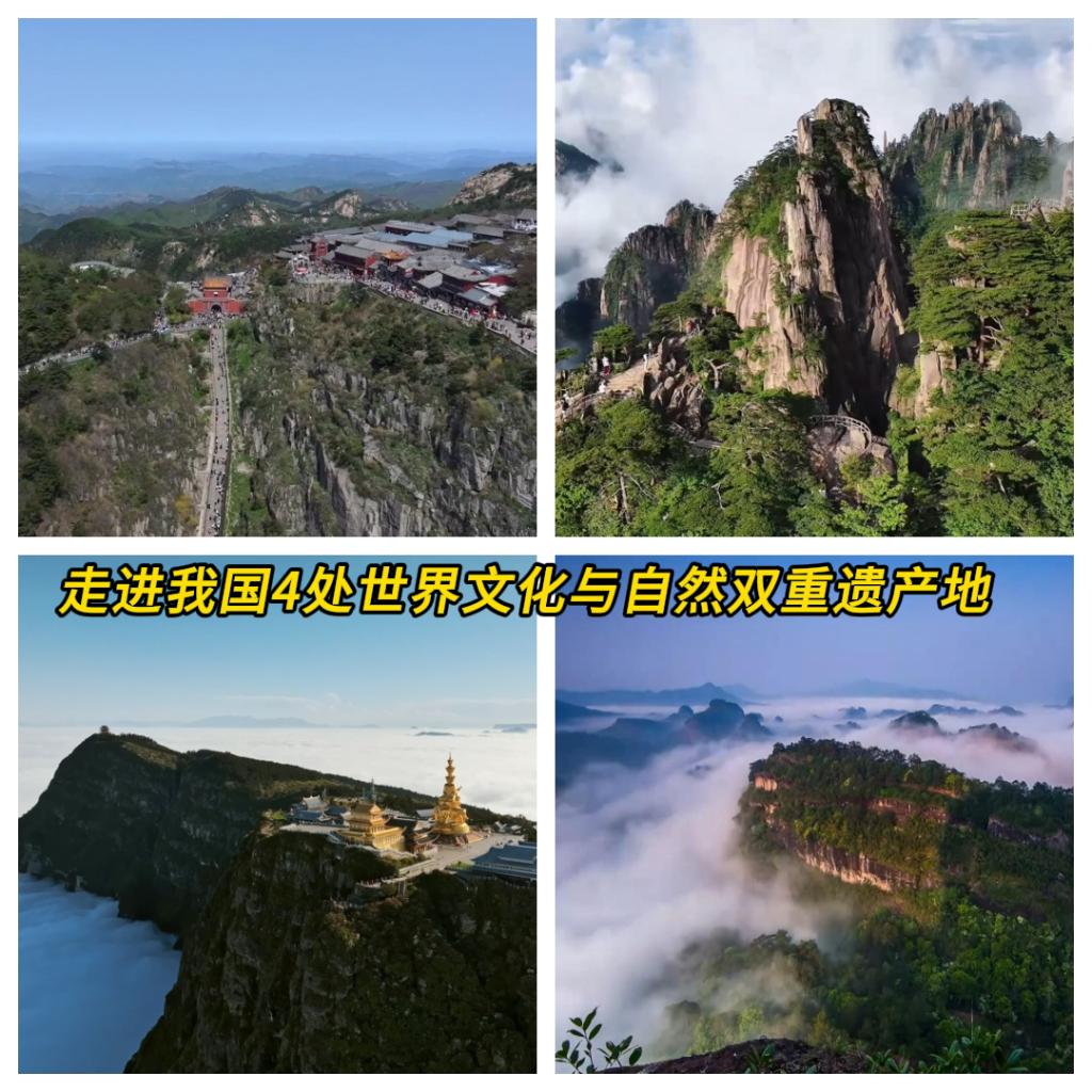 世界杯热门赛事深度解析 - 世界杯赛事chengkanghang